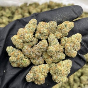 Strawberry Champagne