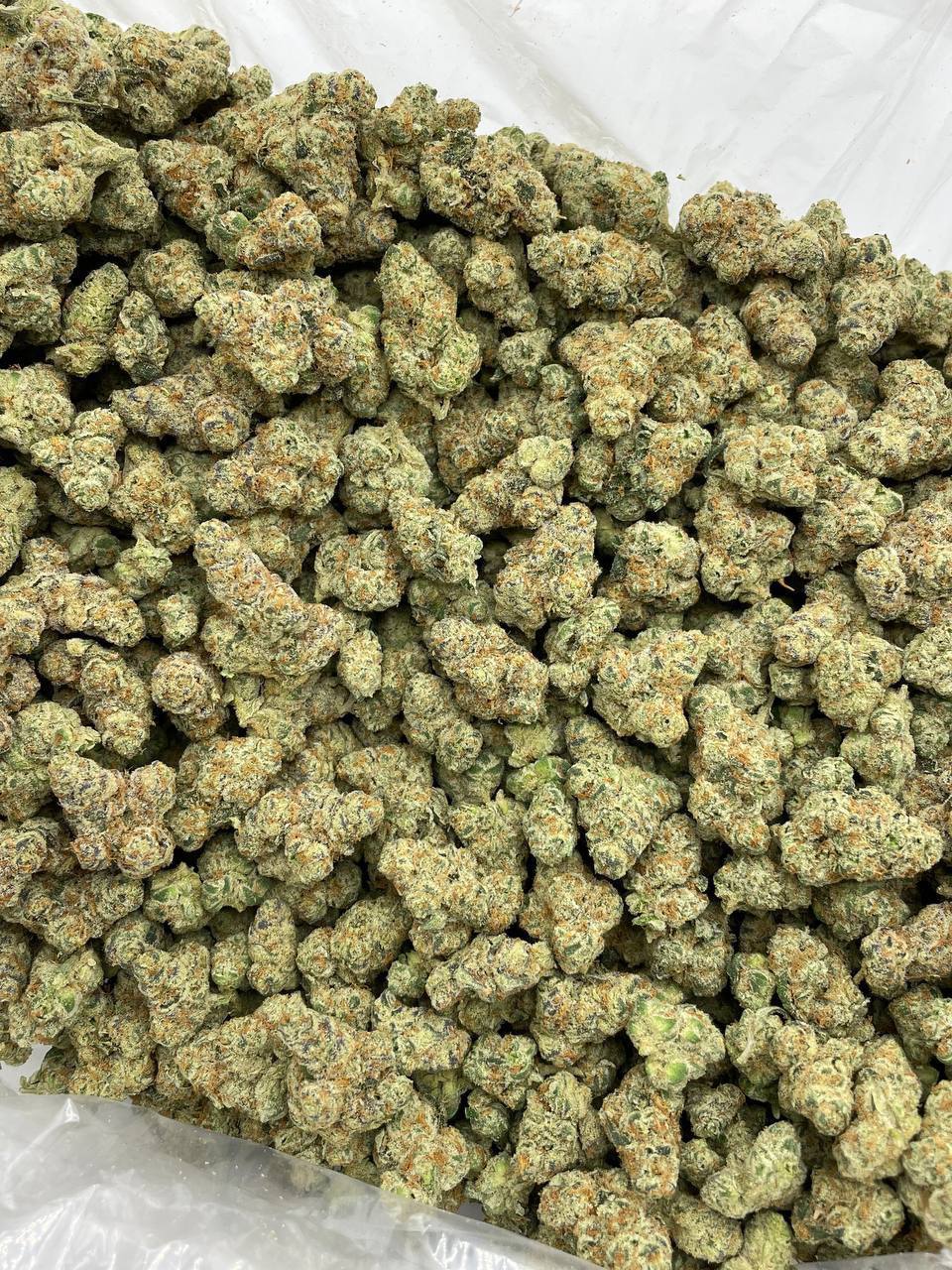 Strawberry Champagne - Image 2