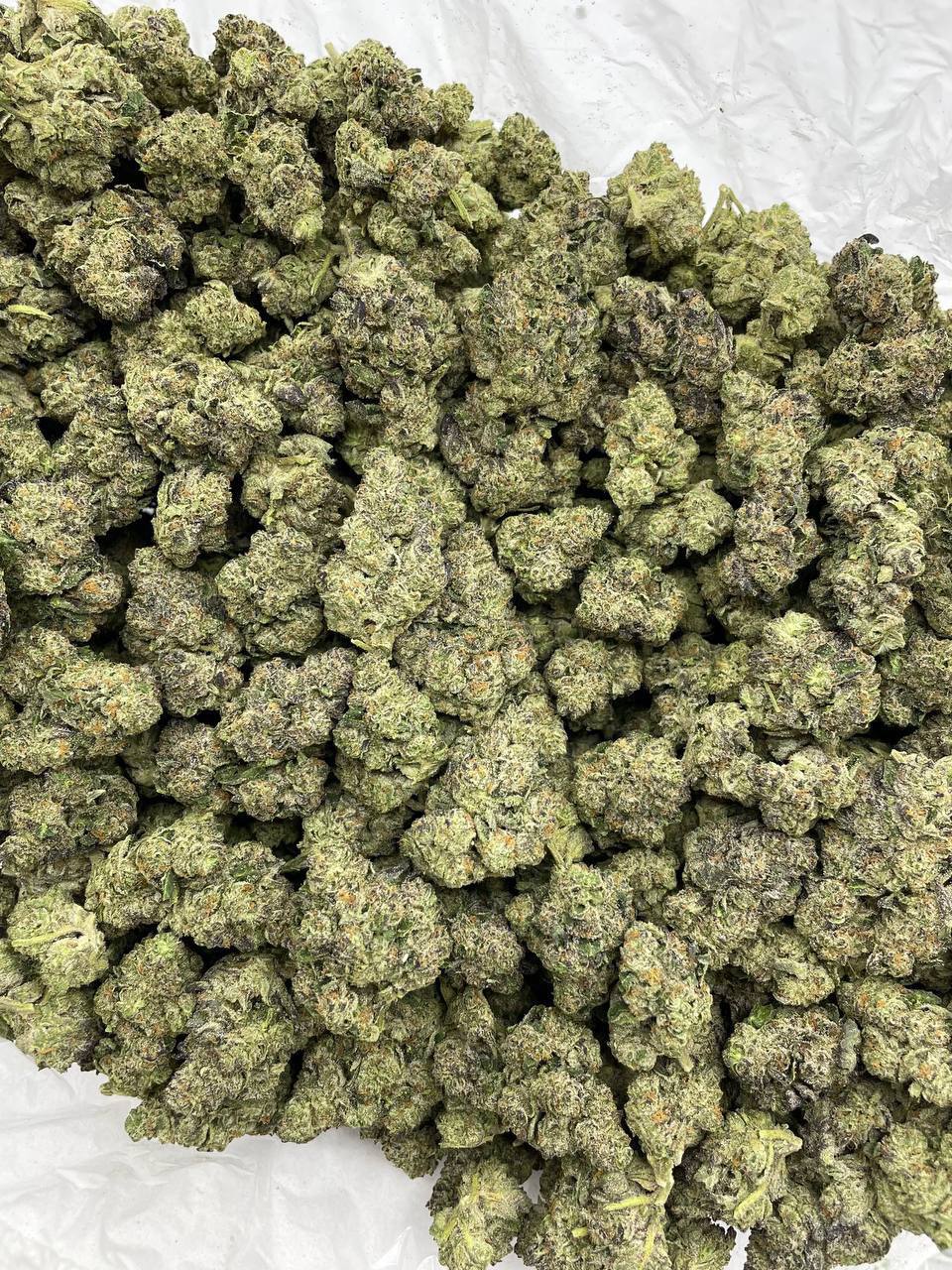 Grape Gobstopper Kush - Image 2
