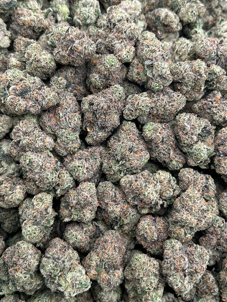 Candy Nerdz - Image 2