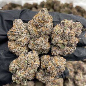 Alternative view of Black Cherry Gelato